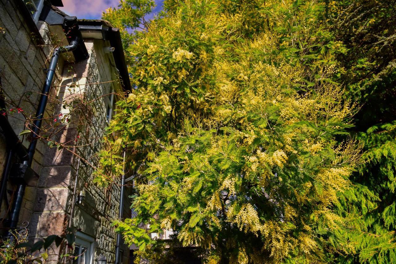 קאוז Ward Avenue B&B מראה חיצוני תמונה