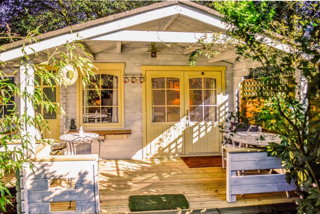 קאוז Ward Avenue B&B מראה חיצוני תמונה