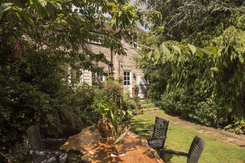 קאוז Ward Avenue B&B מראה חיצוני תמונה